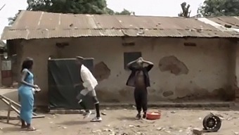 Adna On Iso Afrikkalainen Kukko Saa Palvoivat Kiimainen Valkoinen Tyttö